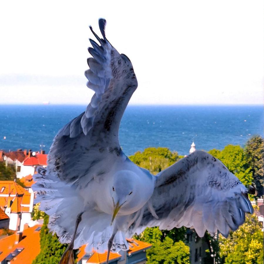 Pokoje Przy Plazy Z Widokiem Na Morze Sopot Exterior photo