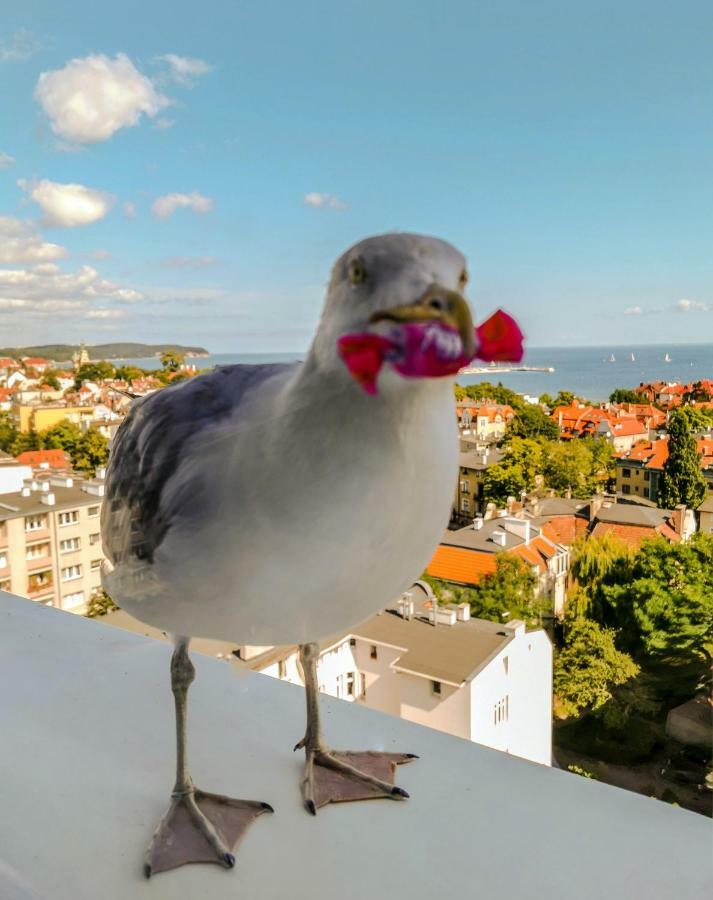 Pokoje Przy Plazy Z Widokiem Na Morze Sopot Exterior photo